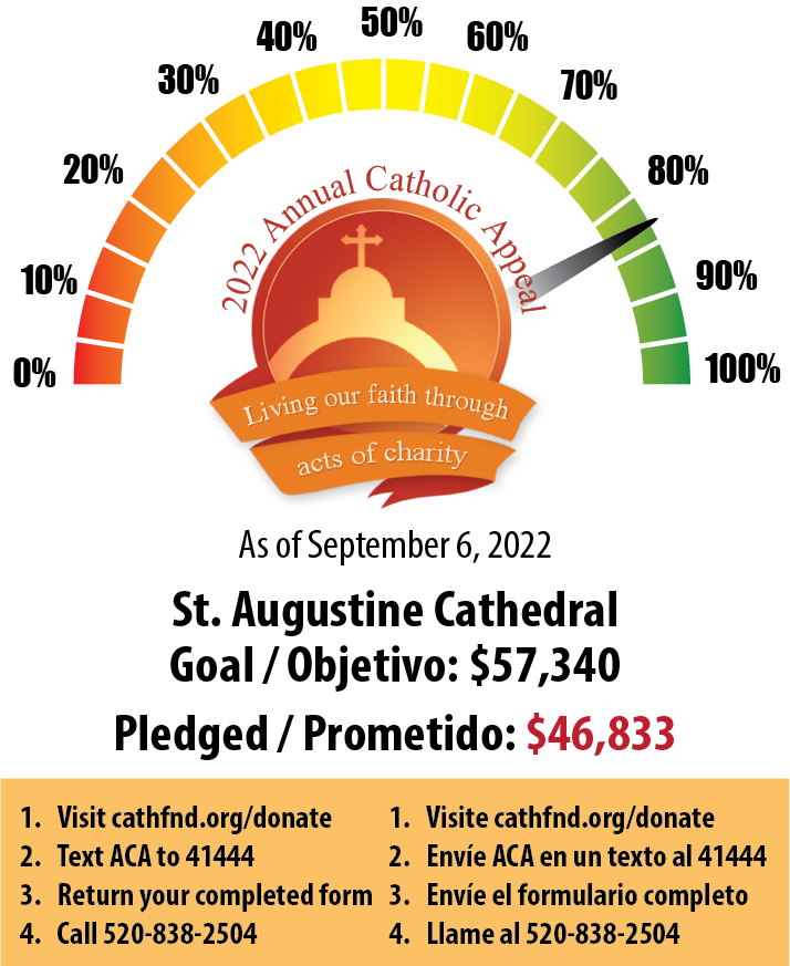 St. Augustine Weekly Pledge Update